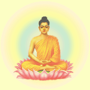 buddha-moi