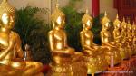 Giáo lý căn bản nguyên thủy Phật giáo