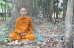 Hành Thiền trong rừng ở Thái Lan