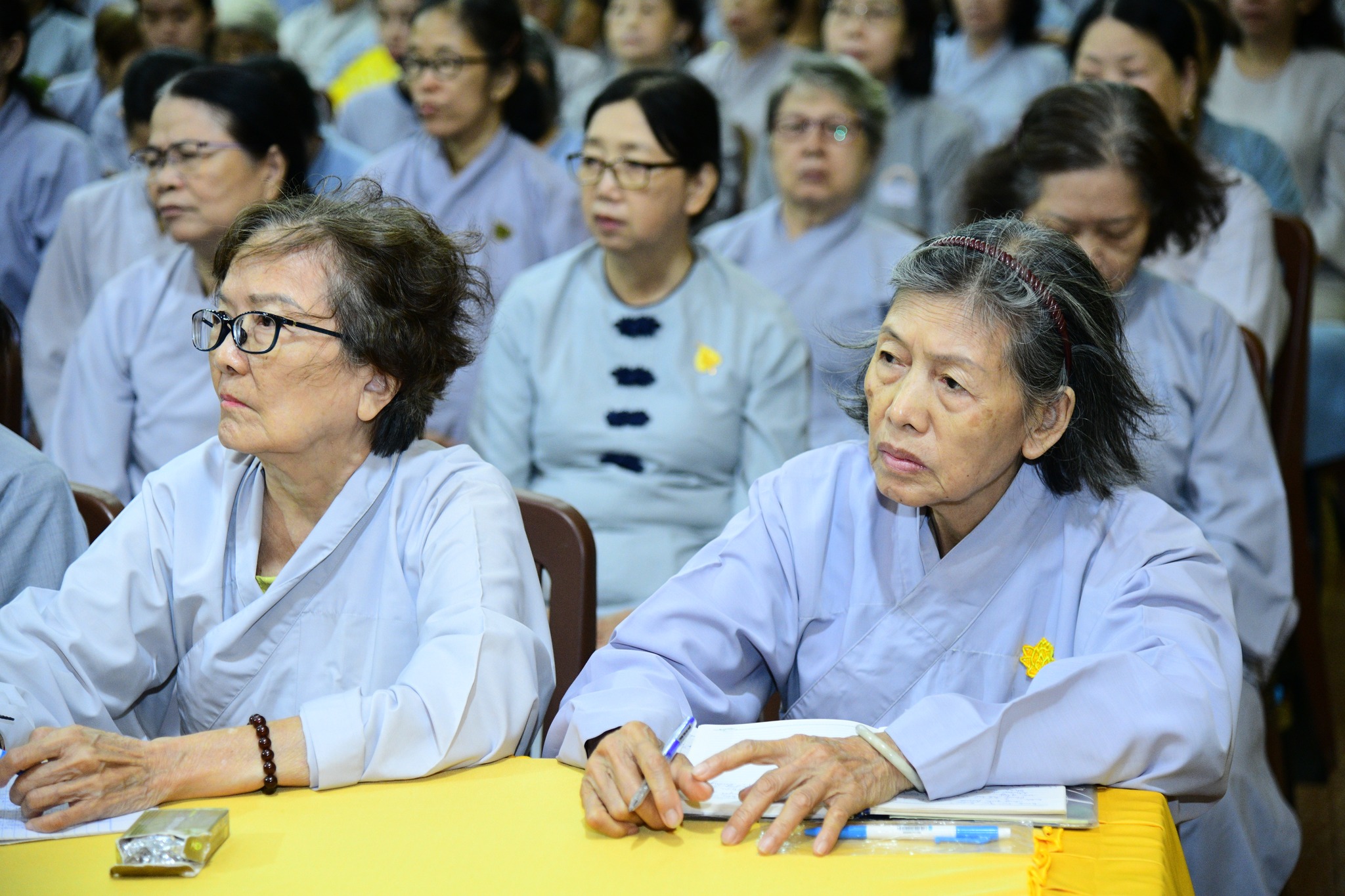 Pháp thoại “Chánh Tri Kiến” do Hòa thượng Thích Tâm Đức thuyết giảng tại Khóa tu Ngày An Lạc – Chùa Giác Ngộ