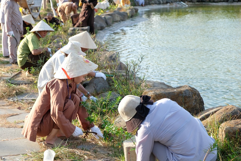 LÀM VƯỜN TRONG CHÁNH NIỆM: HÀNH GIẢ KHÓA TU PHƯƠNG TRỜI THONG DONG NHỔ CỎ QUANH HỒ TỊNH TÂM