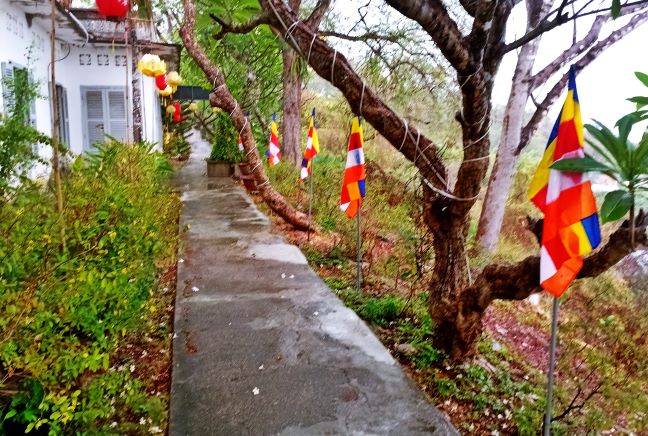 Lên Đồi Cao Sáng Ngày Mưa