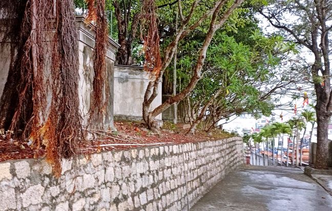Lên Đồi Cao Sáng Ngày Mưa