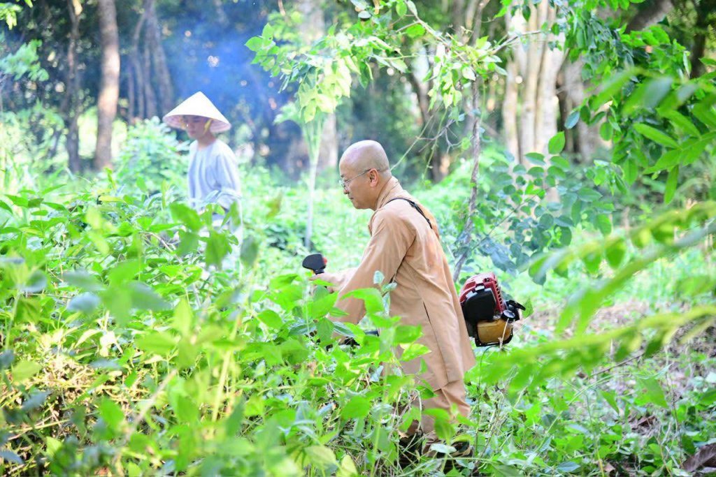 “MỘT NGÀY KHÔNG LÀM, MỘT NGÀY KHÔNG ĂN” – CHƯ HÀNH GIẢ CHẤP TÁC LÀM CỎ TẠI HẠ TRƯỜNG CHÙA GIÁC NGỘ