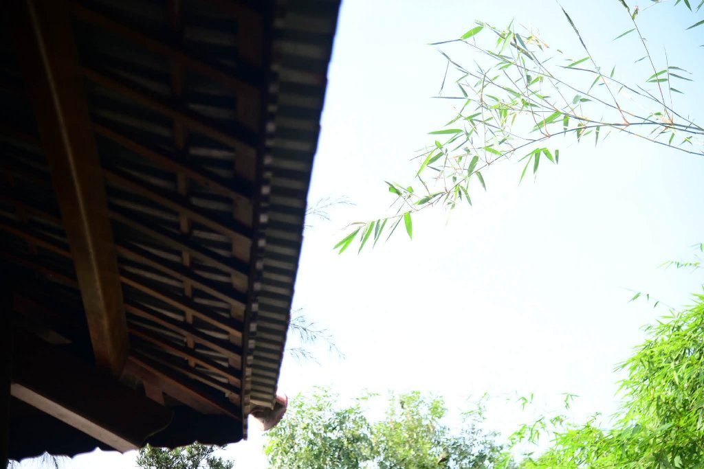 SỰ DỊ BIỆT TẠO NÊN SỰ PHÁT TRIỂN LỚN MẠNH CỦA PHẬT GIÁO 