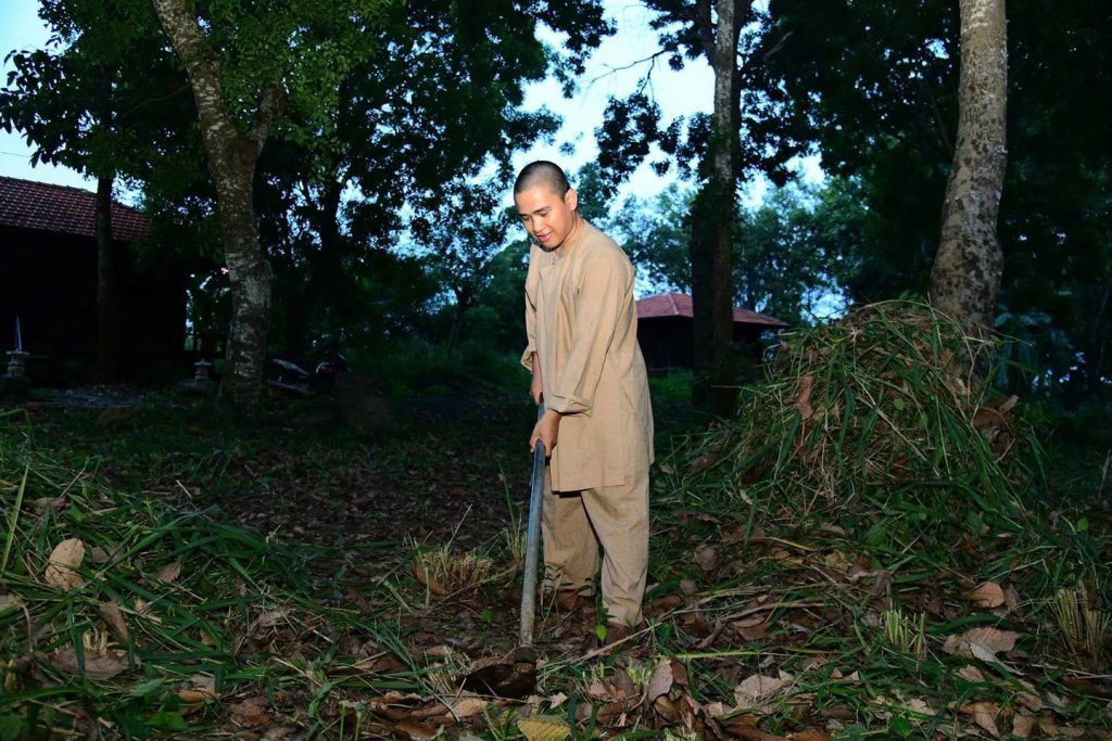“MỘT NGÀY KHÔNG LÀM, MỘT NGÀY KHÔNG ĂN” – CHƯ HÀNH GIẢ CHẤP TÁC LÀM CỎ TẠI HẠ TRƯỜNG CHÙA GIÁC NGỘ
