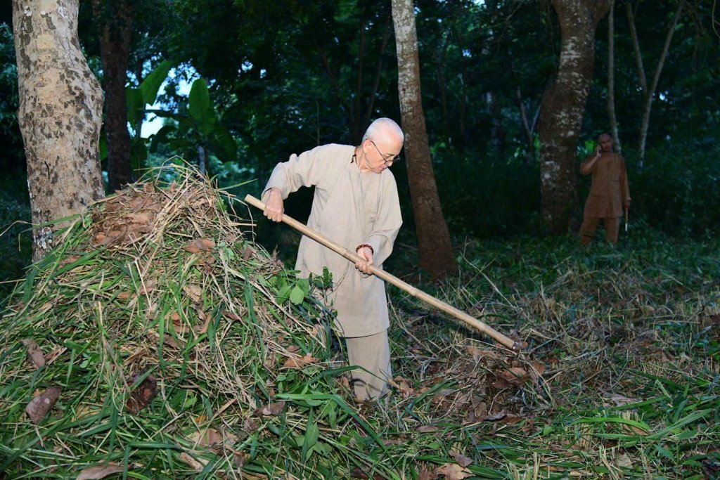 “MỘT NGÀY KHÔNG LÀM, MỘT NGÀY KHÔNG ĂN” – CHƯ HÀNH GIẢ CHẤP TÁC LÀM CỎ TẠI HẠ TRƯỜNG CHÙA GIÁC NGỘ