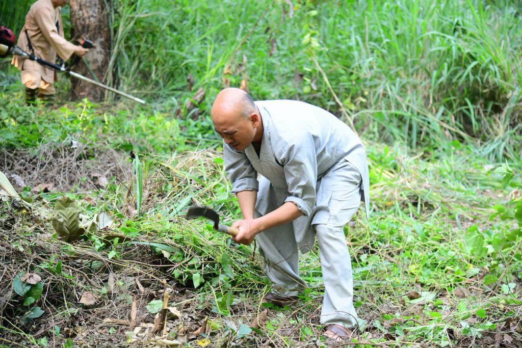 “MỘT NGÀY KHÔNG LÀM, MỘT NGÀY KHÔNG ĂN” – CHƯ HÀNH GIẢ CHẤP TÁC LÀM CỎ TẠI HẠ TRƯỜNG CHÙA GIÁC NGỘ