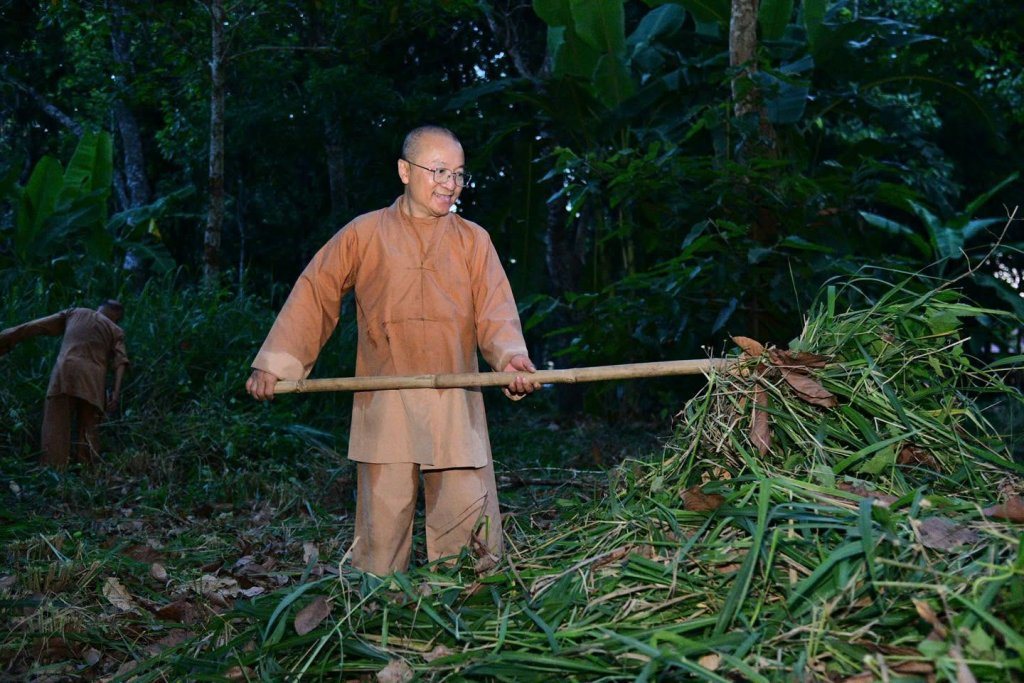 “MỘT NGÀY KHÔNG LÀM, MỘT NGÀY KHÔNG ĂN” – CHƯ HÀNH GIẢ CHẤP TÁC LÀM CỎ TẠI HẠ TRƯỜNG CHÙA GIÁC NGỘ