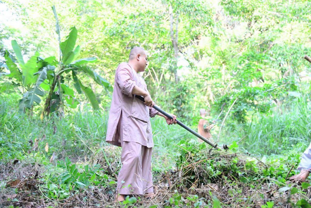 “MỘT NGÀY KHÔNG LÀM, MỘT NGÀY KHÔNG ĂN” – CHƯ HÀNH GIẢ CHẤP TÁC LÀM CỎ TẠI HẠ TRƯỜNG CHÙA GIÁC NGỘ