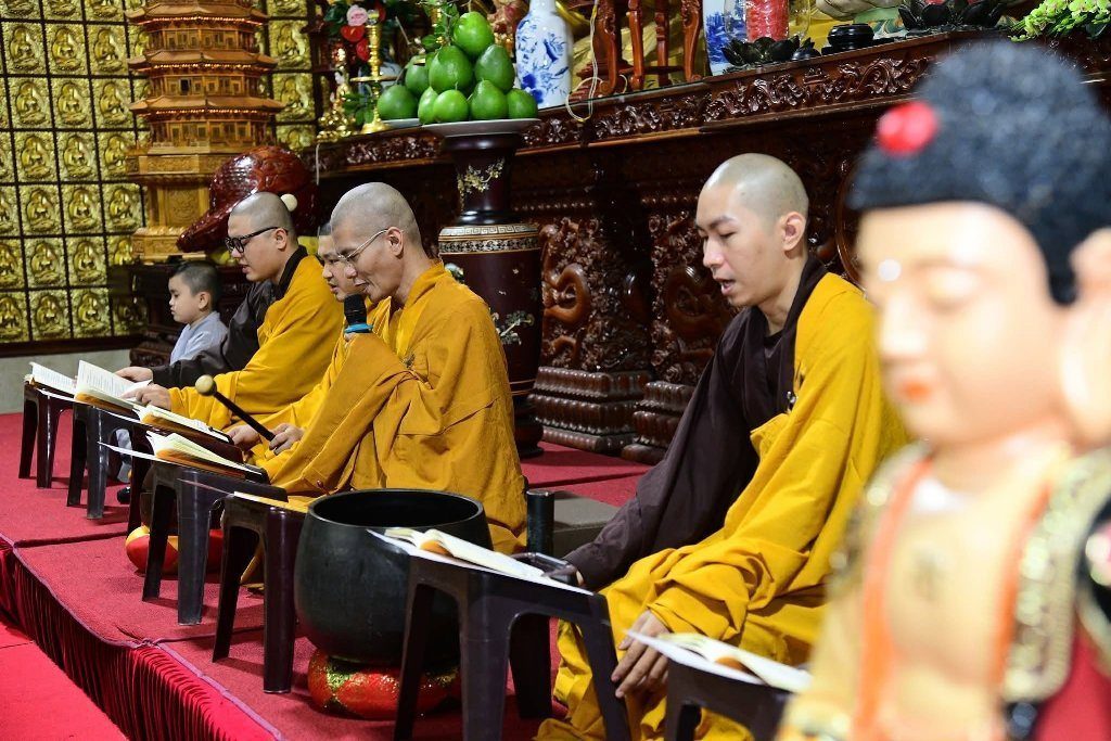ƯƠM MẦM TỪ BI – ĐÓN MỪNG MÙA PHẬT ĐẢN
