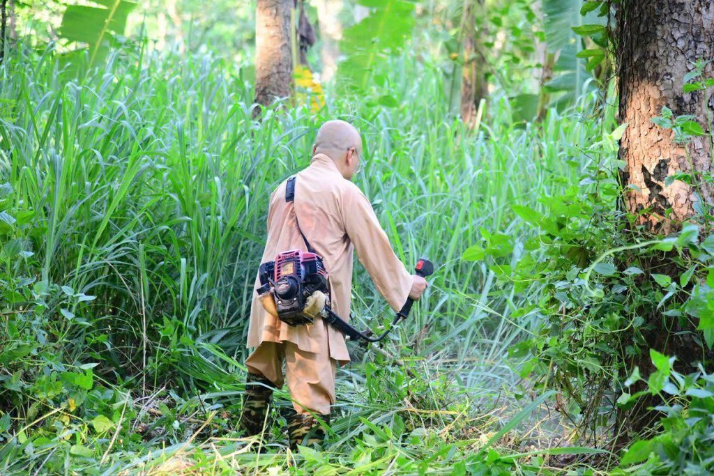 “MỘT NGÀY KHÔNG LÀM, MỘT NGÀY KHÔNG ĂN” – CHƯ HÀNH GIẢ CHẤP TÁC LÀM CỎ TẠI HẠ TRƯỜNG CHÙA GIÁC NGỘ
