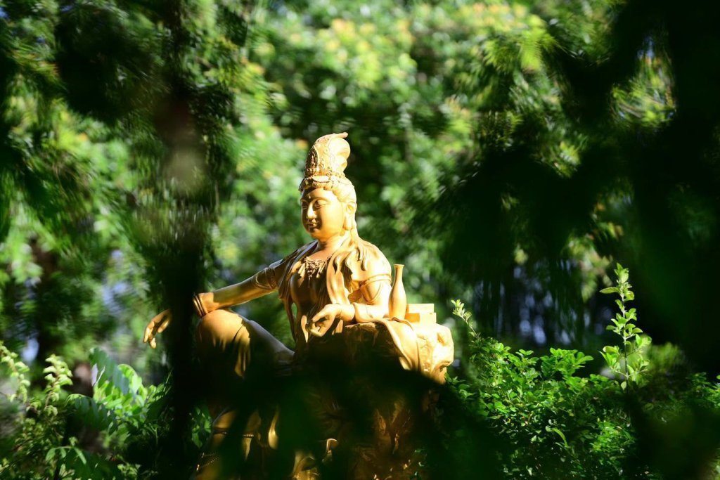 CHÁNH NIỆM TRONG TỪNG HÀNH ĐỘNG