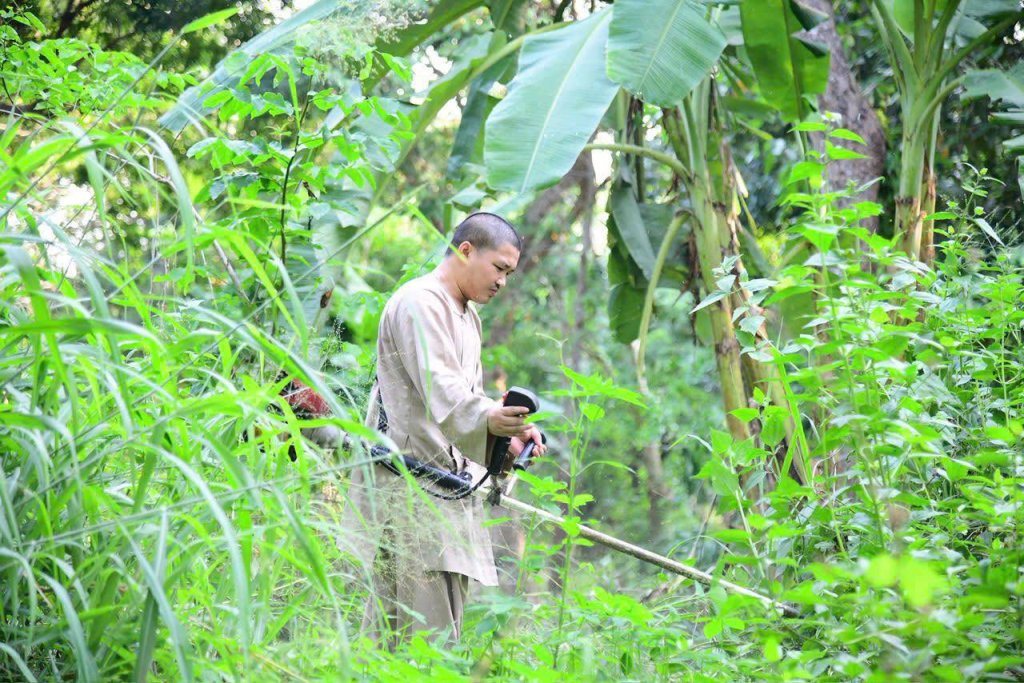 “MỘT NGÀY KHÔNG LÀM, MỘT NGÀY KHÔNG ĂN” – CHƯ HÀNH GIẢ CHẤP TÁC LÀM CỎ TẠI HẠ TRƯỜNG CHÙA GIÁC NGỘ