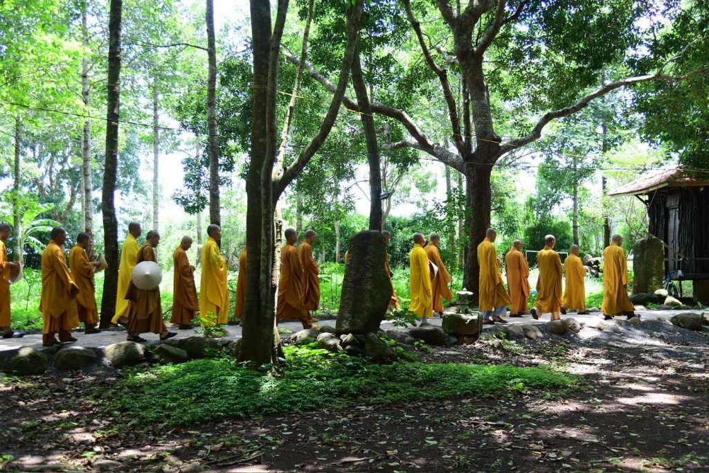 THIỀN HÀNH SAU GIỜ CƠM CHÁNH NIỆM – HÀNH TRÌNH PHƯƠNG TRỜI THONG DONG BẮT ĐẦU