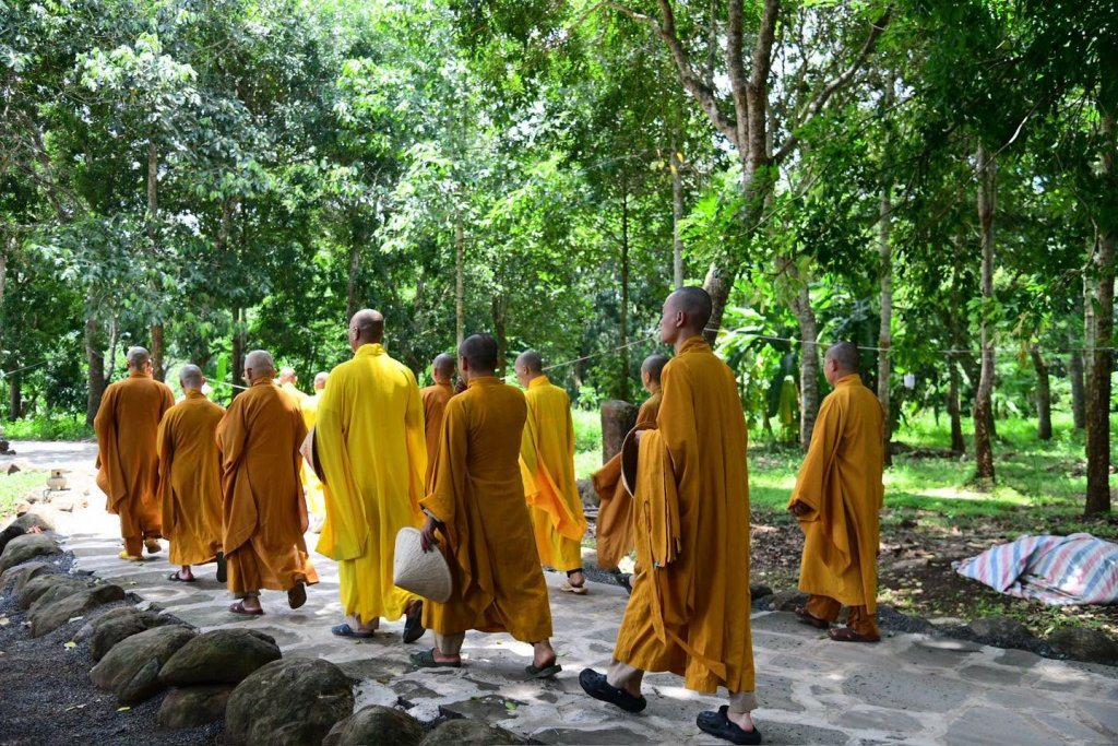 THIỀN HÀNH SAU GIỜ CƠM CHÁNH NIỆM – HÀNH TRÌNH PHƯƠNG TRỜI THONG DONG BẮT ĐẦU