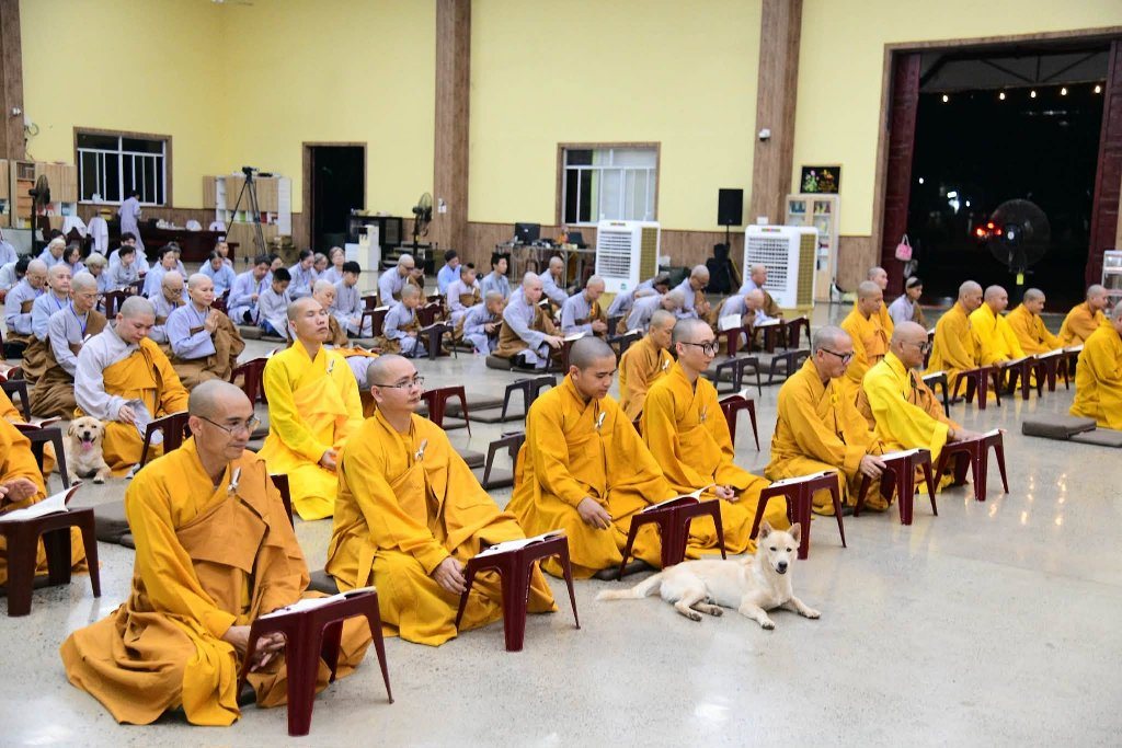 TRANG NGHIÊM TỤNG KINH VU LAN BÁO HIẾU