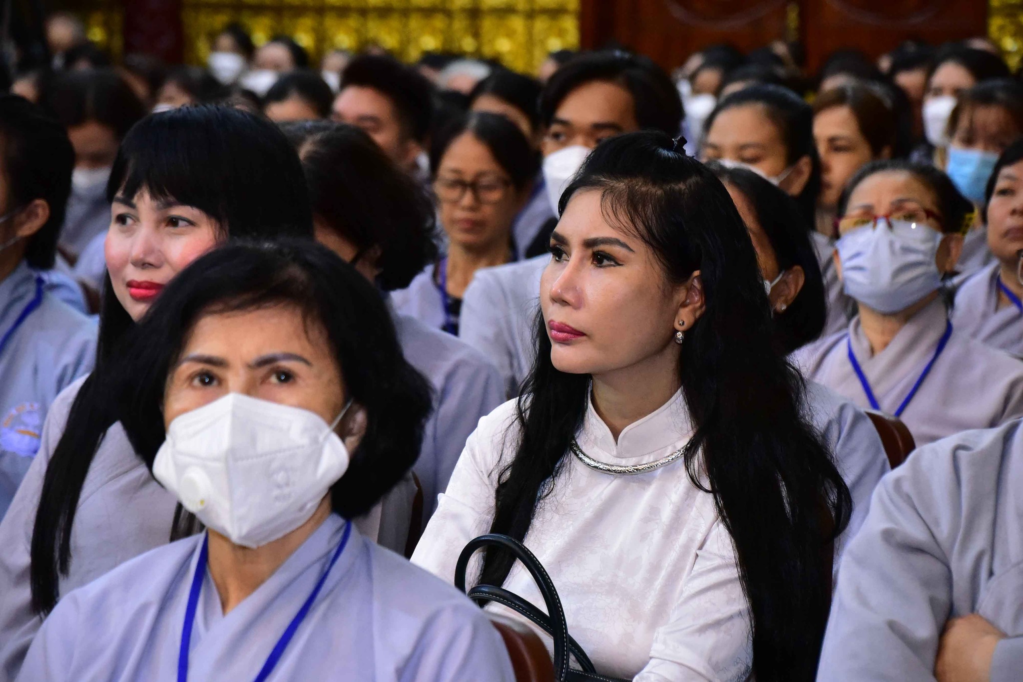 Mang trí tuệ của đạo Phật quán chiếu thế gian