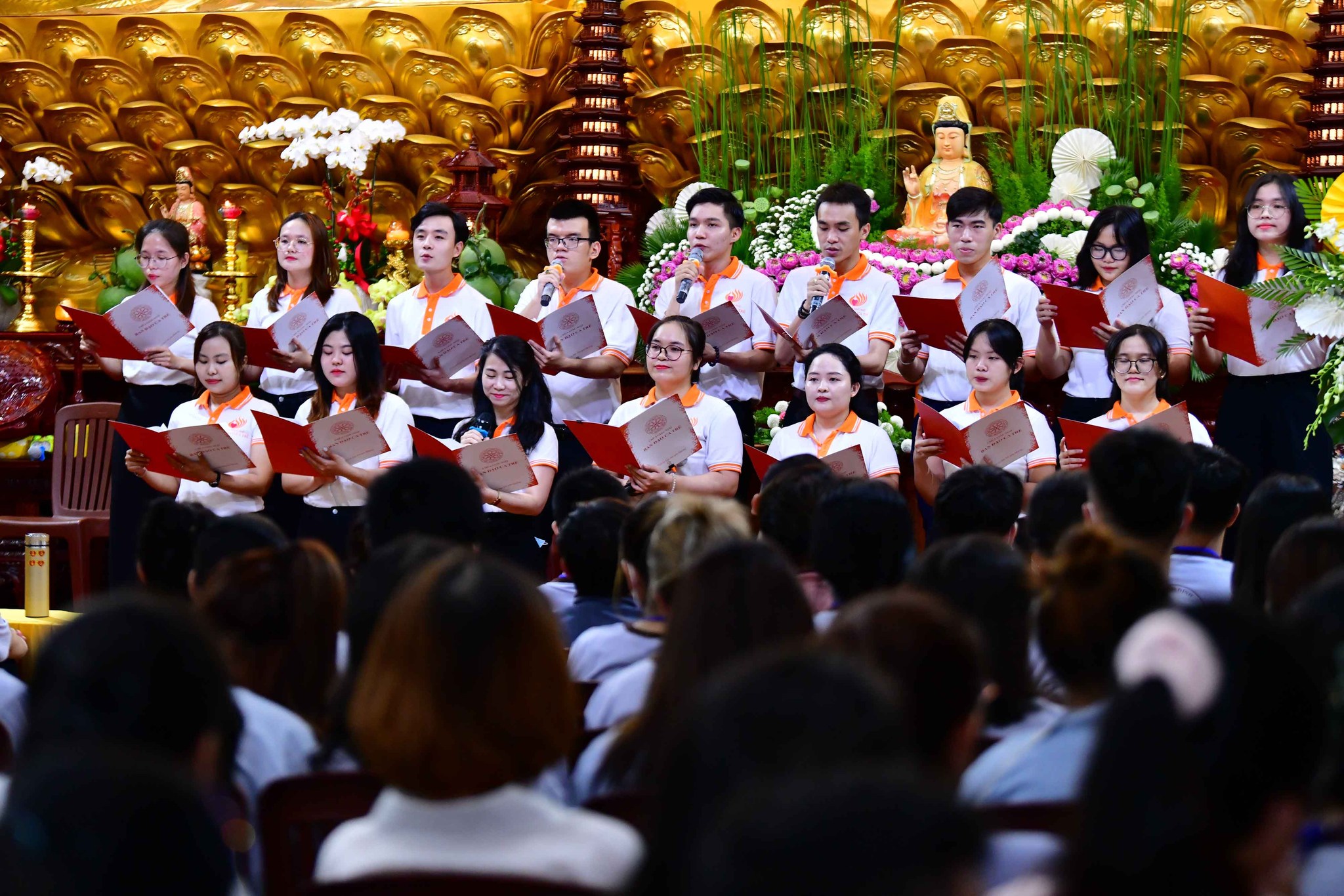 Lắng nghe và trị liệu khổ đau theo tinh thần Phật học