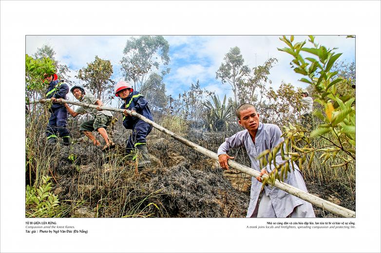 Sách ảnh nghệ thuật “Tuệ giác Phật giáo: Nhân phẩm và Hòa bình” chào mừng Đại lễ Vesak 2025