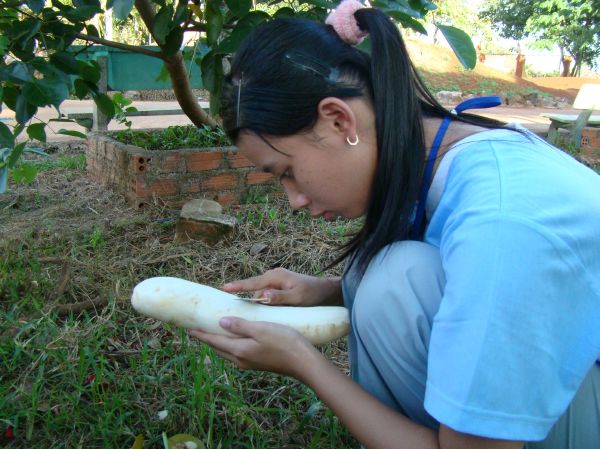 Đắk Lắk: Hào hứng, sôi nổi, bất ngờ, thú vị - khóa tu Thiện Tài Đồng Tử ngày thứ 2