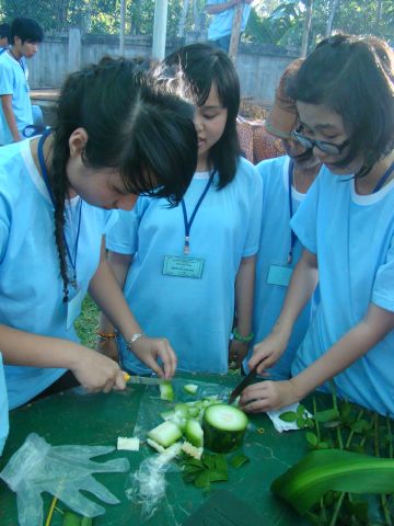 Đắk Lắk: Hào hứng, sôi nổi, bất ngờ, thú vị - khóa tu Thiện Tài Đồng Tử ngày thứ 2