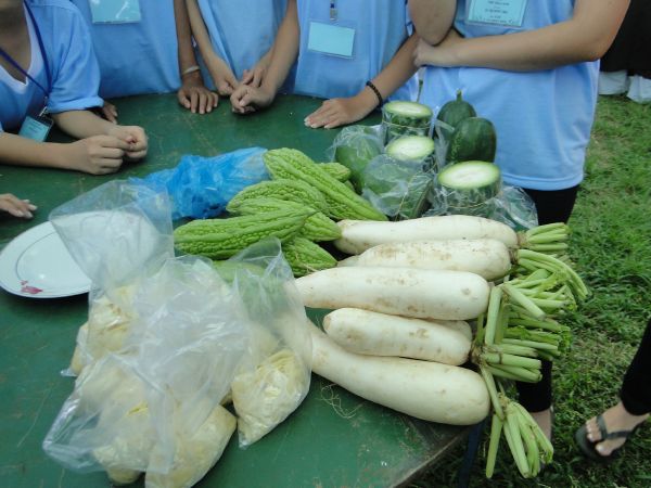 Đắk Lắk: Hào hứng, sôi nổi, bất ngờ, thú vị - khóa tu Thiện Tài Đồng Tử ngày thứ 2