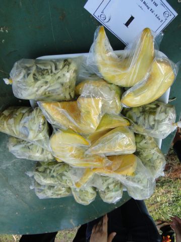 Đắk Lắk: Hào hứng, sôi nổi, bất ngờ, thú vị - khóa tu Thiện Tài Đồng Tử ngày thứ 2