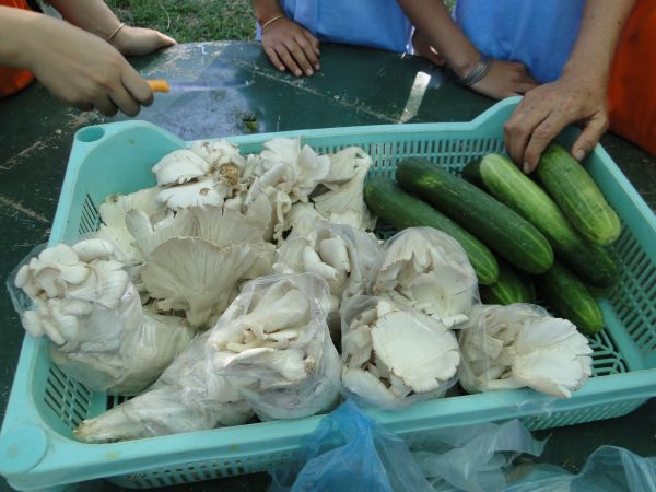 Đắk Lắk: Hào hứng, sôi nổi, bất ngờ, thú vị - khóa tu Thiện Tài Đồng Tử ngày thứ 2