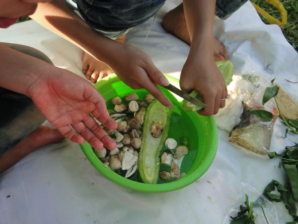 Đắk Lắk: Hào hứng, sôi nổi, bất ngờ, thú vị - khóa tu Thiện Tài Đồng Tử ngày thứ 2