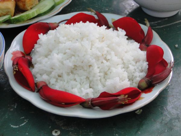 Đắk Lắk: Hào hứng, sôi nổi, bất ngờ, thú vị - khóa tu Thiện Tài Đồng Tử ngày thứ 2