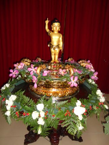 Đồng Tháp: Chùa Quê Hương hân hoan chuẩn bị đón mừng ngày Phật đản sanh