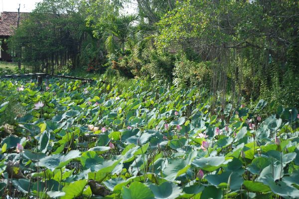 Một ngày tôi tìm lại tôi