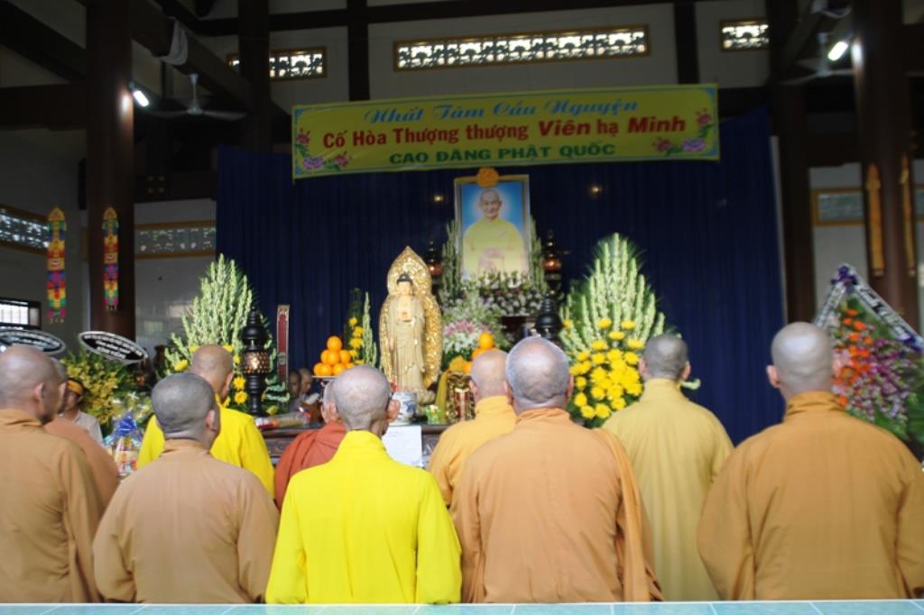 Đồng Tháp: BTS. Phật Giáo Viếng HT. Thích Viên Minh