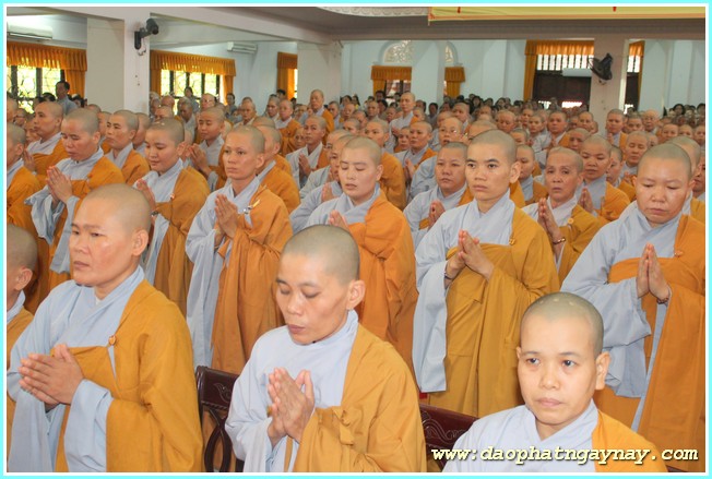 TP.Hồ Chí Minh: Lễ húy nhật lần thứ 17 cố Đại lão Hòa Thượng Thích Thiện Hào