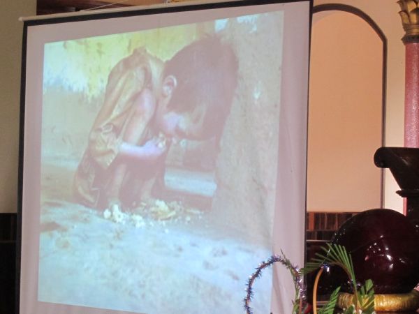 Khóa tu Thiện Tài Đồng Tử và pháp thoại gây xúc động lòng người