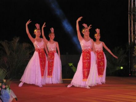 Phút thiêng liêng - Khai mạc Hội thảo Hoằng pháp 2010