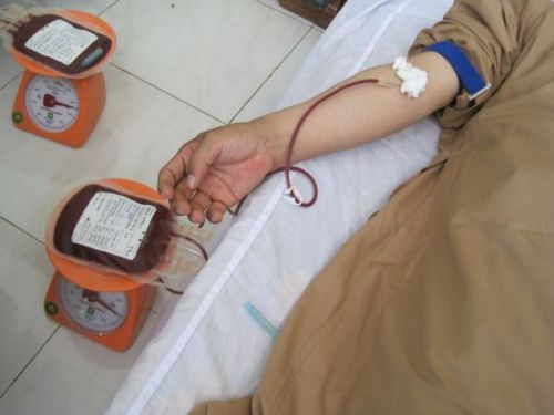 Giọt máu mang tình yêu thương