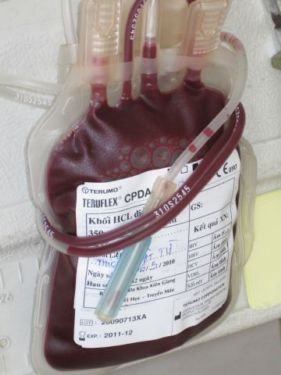 Giọt máu mang tình yêu thương