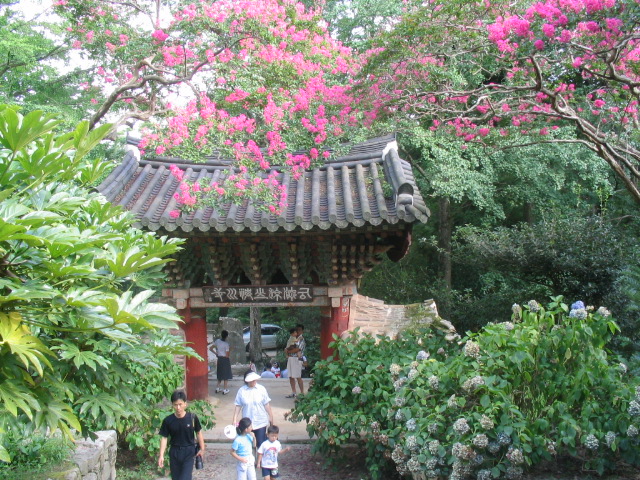 Diễn biến Thiền phái Thái Cổ, Korea