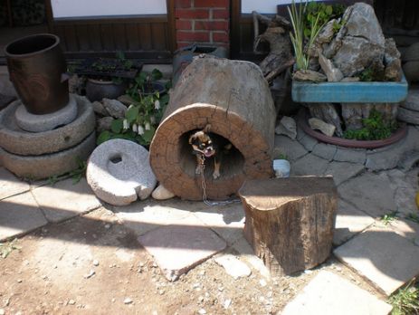 Ngôi cổ tự Truyền Đăng , Hàn Quốc, hộ quốc an dân