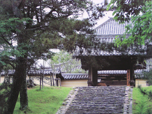 gi_i_dan8_753487824