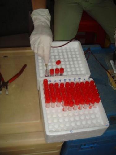 Khởi động hiến máu đón chào hội thảo Phật giáo toàn quốc 2010