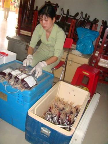 Khởi động hiến máu đón chào hội thảo Phật giáo toàn quốc 2010