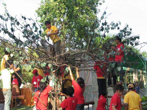 Những sự kiện ý nghĩa trong ngày đầu của Hội trại hè Lý Công Uẩn 2010