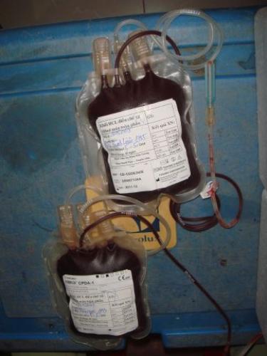 Khởi động hiến máu đón chào hội thảo Phật giáo toàn quốc 2010