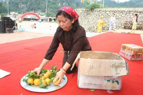 Chùm ảnh: nhộn nhịp hoạt động chào mừng Lễ động thổ chùa Phật Quang Sơn, tỉnh Lạng Sơn