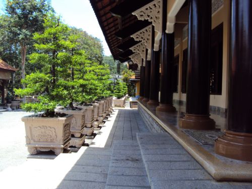 Xin mời bạn tới