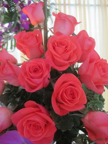 Chùa Quan Âm, Đồng Tháp tưng bừng chuẩn bị đại lễ Vu lan Báo hiếu