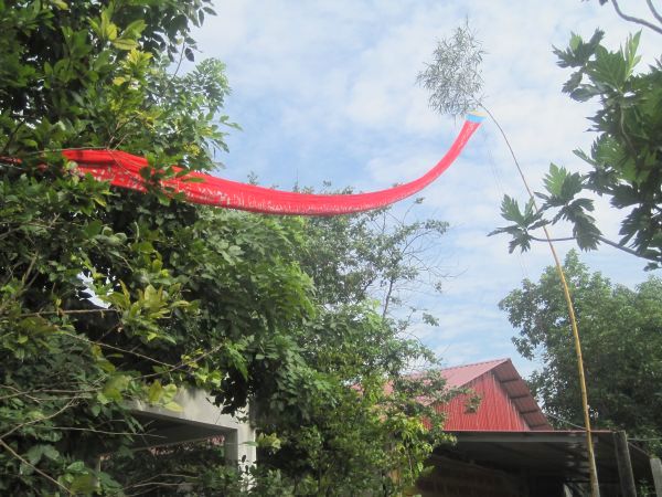 BRVT: Chùa Từ Hiếu chuẩn bị đón mừng mùa Vu lan với Trai đàn giải oan Bạt độ